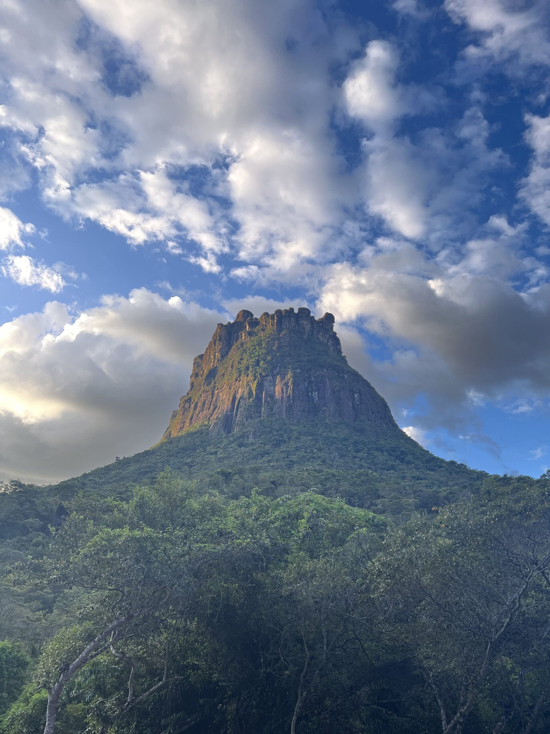 A moss-streaked sandstone butte rises steeply above dense green forest canopy on the Pati Valley hike, its jagged crown lit by golden light beneath a dramatic sky of blue and billowing white clouds