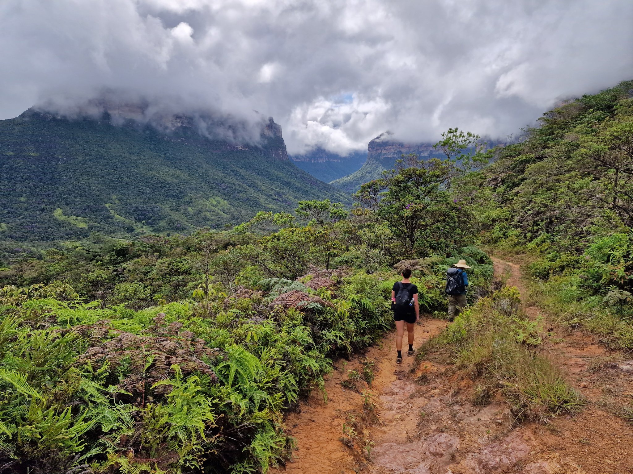 Red earth underfoot, clouds swallowing the canyon walls — the valley calls. Photo: Rasmus Soeby Two hikers descend a muddy red-earth trail on a Pati Valley hike, with lush ferns and shrubs lining the path and cloud-draped sandstone canyon walls receding into the valley below