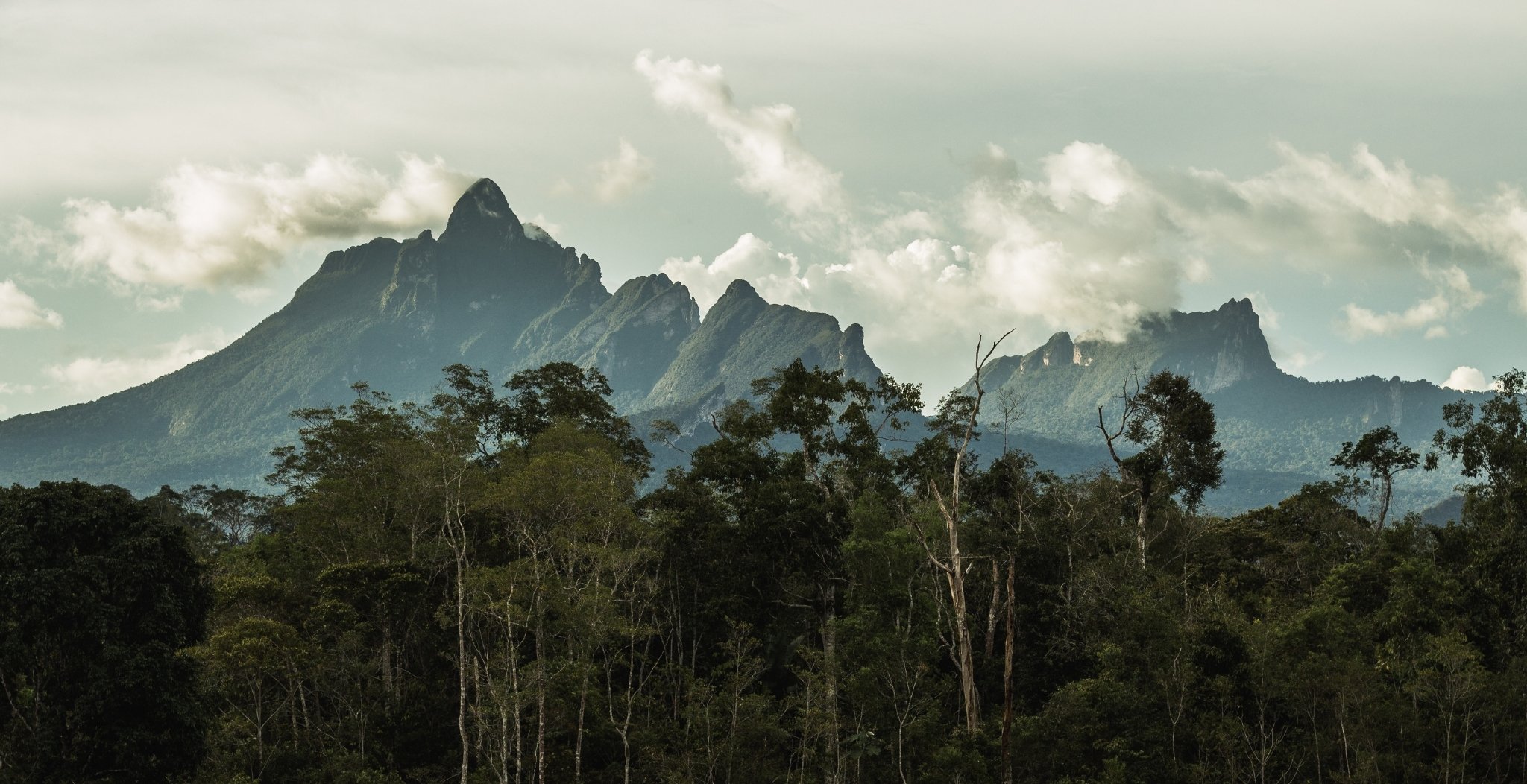 Pico da Neblina National Park Expedition