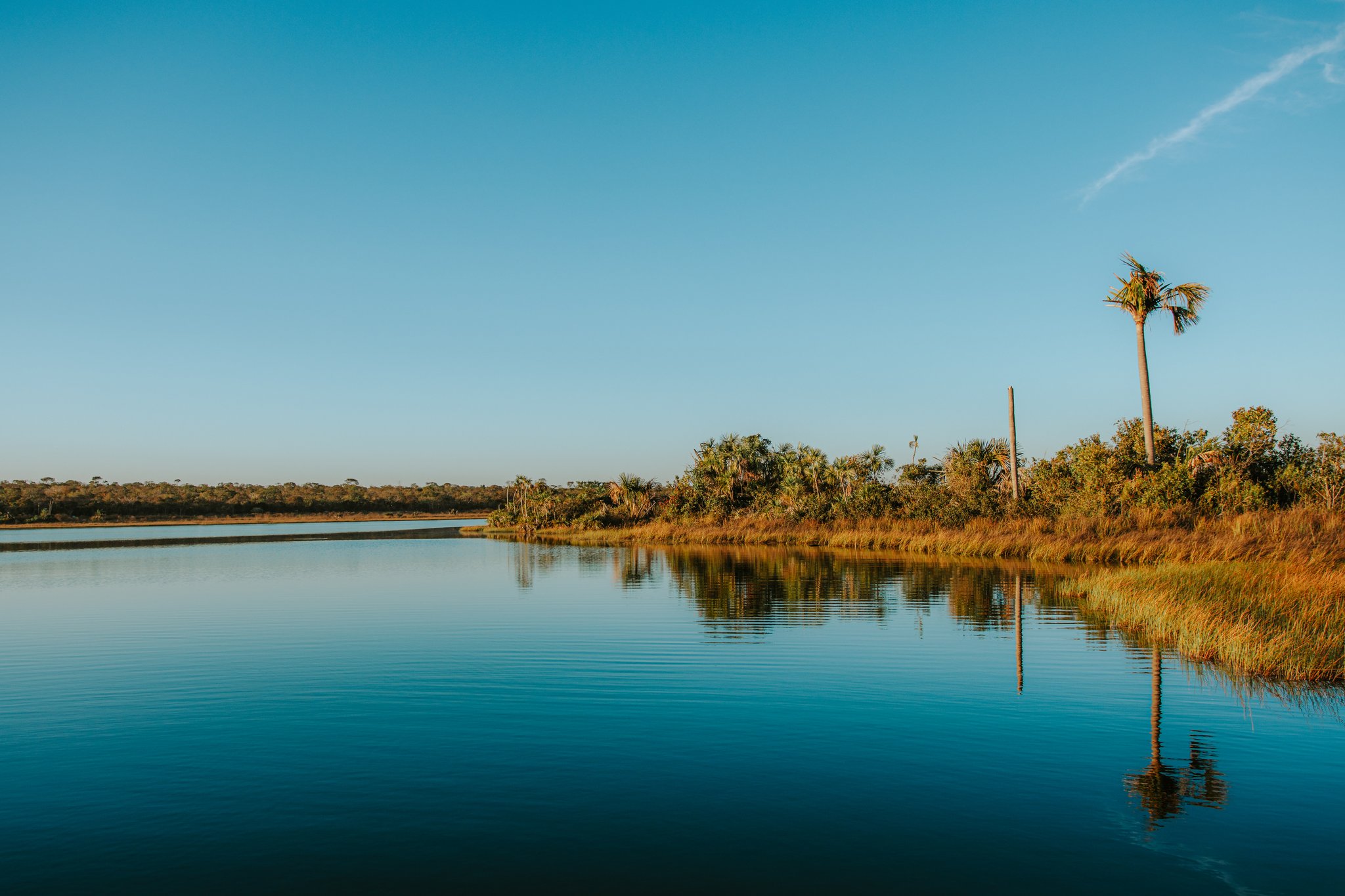 Still waters of Lagoa das Araras at Pousada Trijunção reflecting a tall palm tree and golden marsh grasses under a clear blue sky