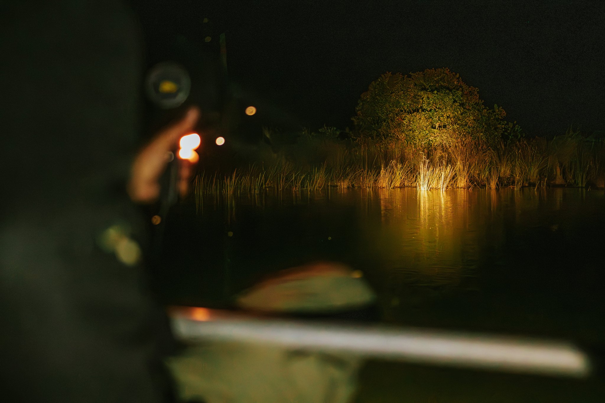 View from a boat during a Pousada Trijunção night safari, with a spotlight illuminating reed beds and a lone tree reflected on the still dark water