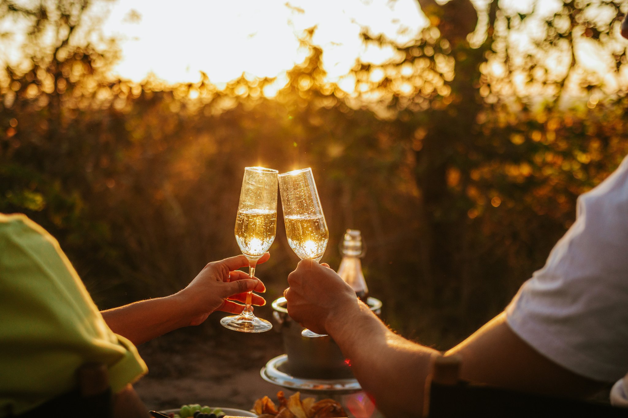 Two guests clinking champagne flutes at Pousada Trijunção during a golden Cerrado sunset, with a chilled bottle in the background