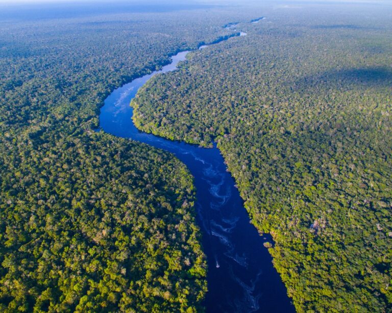 The Amazon River, Brazil: A Guide to the World’s Greatest River The Amazon River, Brazil: A Guide to the World’s Greatest River