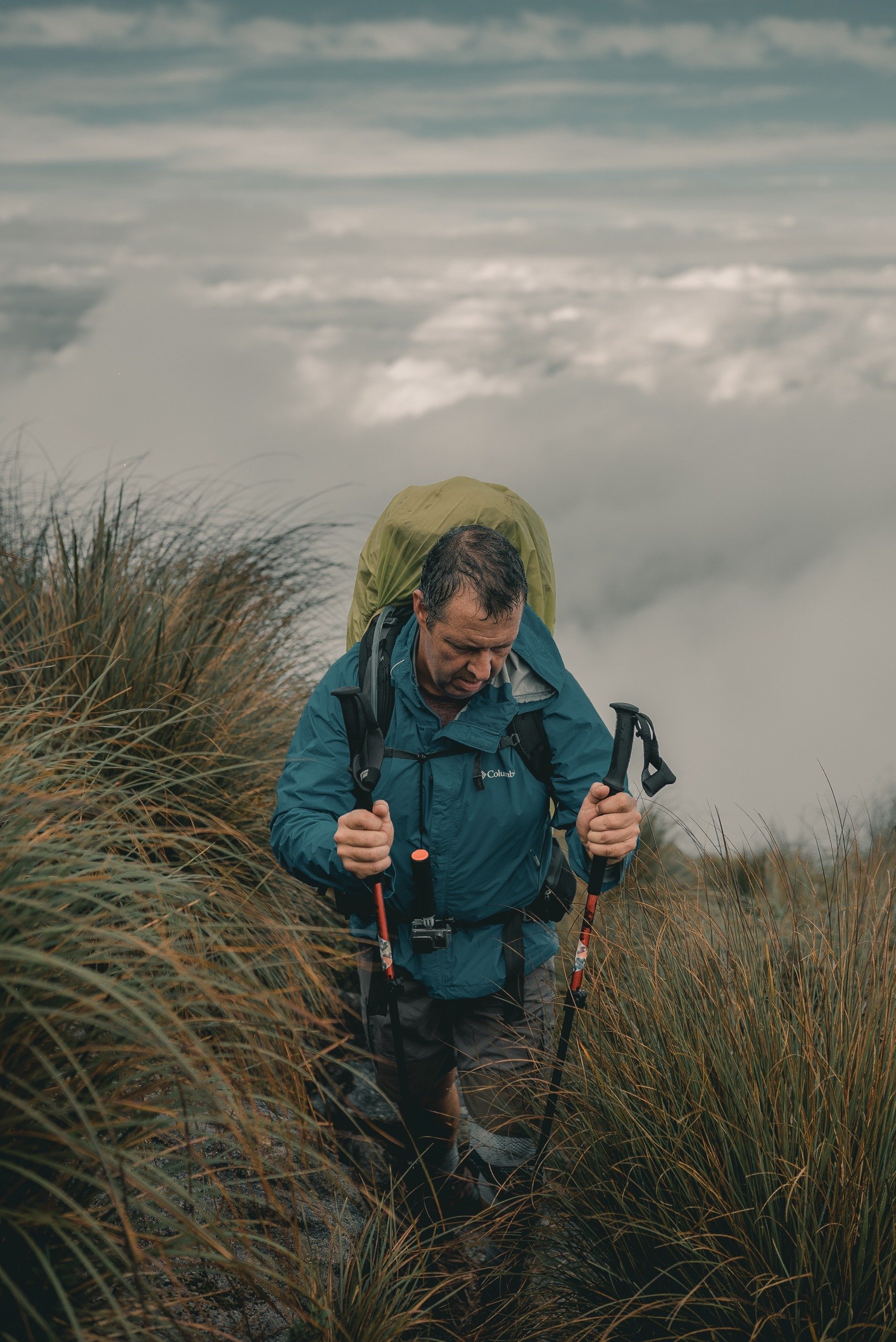 A hiker carrying a full pack and trekking poles pushes through tall grass on a Serra Fina Trekking ridge, with a dramatic sea of clouds filling the valley far below