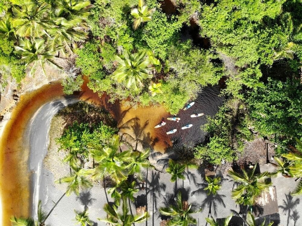 Aerial drone view of paddleboarders on a tannin-dark river mouth flanked by lush jungle and palm-lined white sand beach near Itacaré, Bahia — a glimpse of the natural playground surrounding this surf school in Itacaré