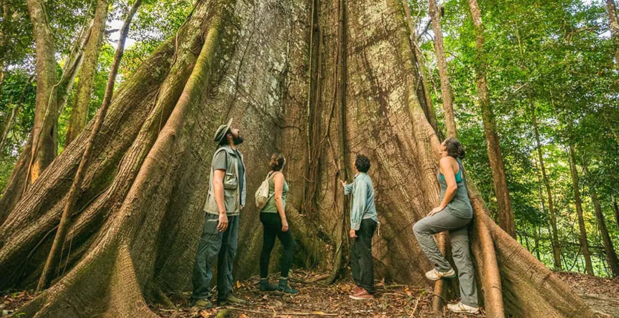 3-day Amazon Jungle Tour from Manaus, Brazil