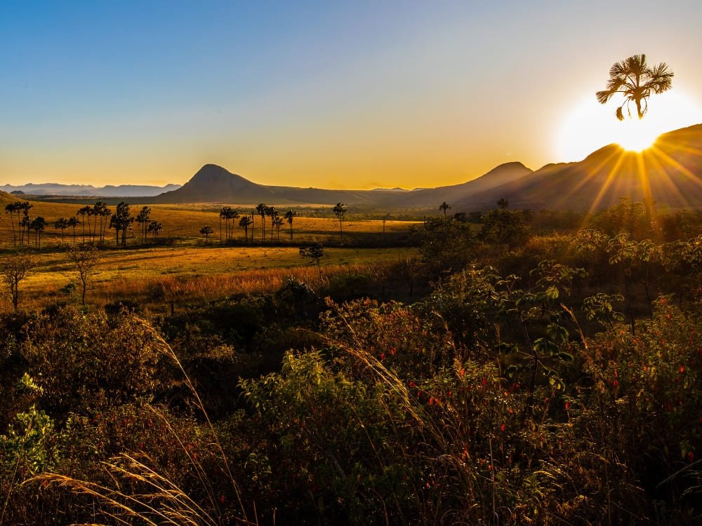 Golden sunset over the Cerrado savanna of Chapada dos Veadeiros, with sun rays bursting behind a silhouetted palm, rolling grasslands, and twin volcanic peaks on the horizon