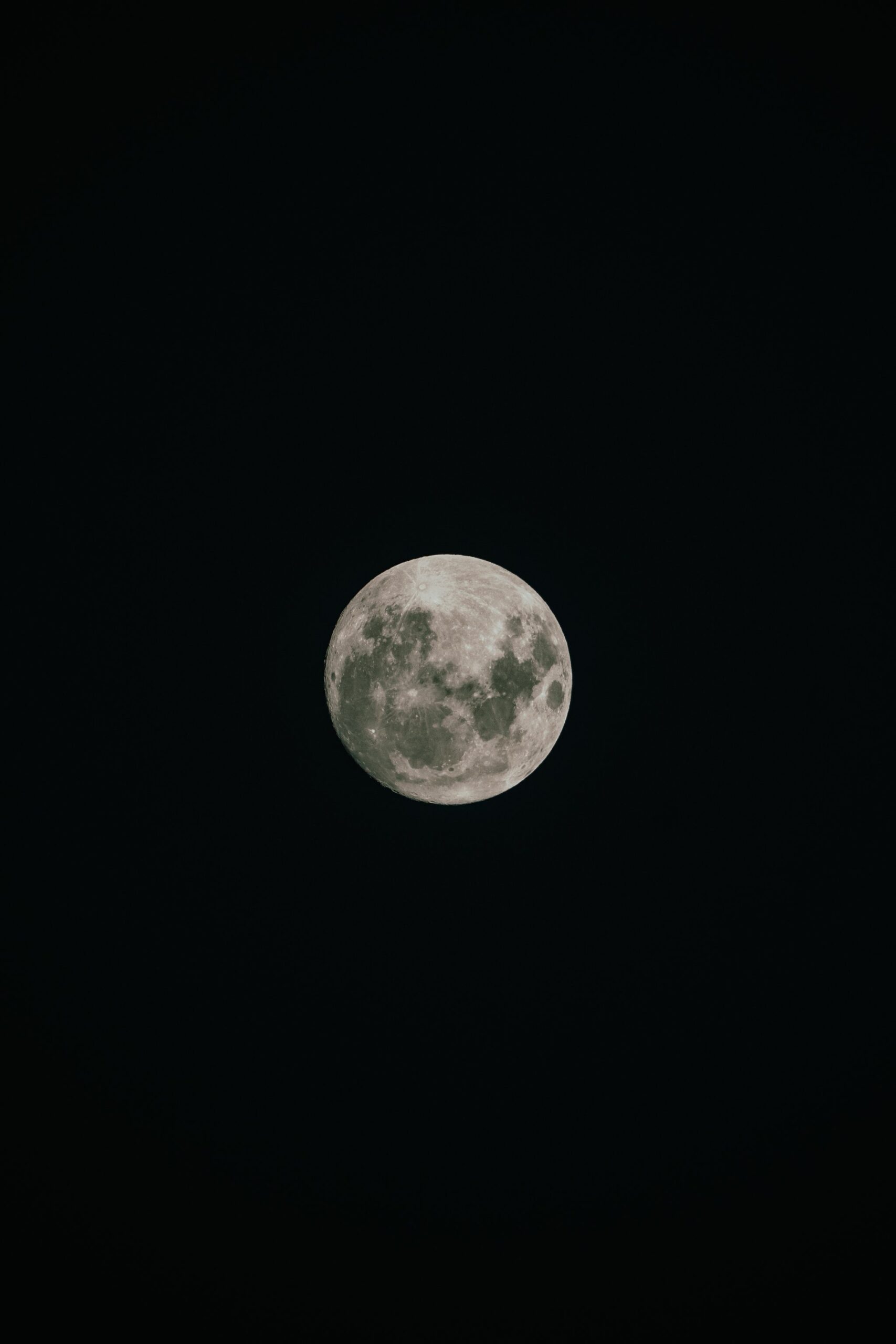 Moonrise over the rainforest — total silence, total darkness, total wonder. A full moon with clearly visible craters glowing against a pitch-black night sky, captured during a tucano amazon river cruise expedition