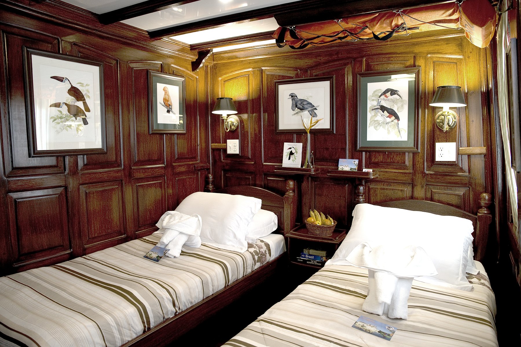 A cozy twin-bed cabin on the Tucano Amazon river cruise, featuring rich dark wood paneling, striped linen bedding, white towel sculptures, a fruit basket, and four framed botanical bird prints on the walls