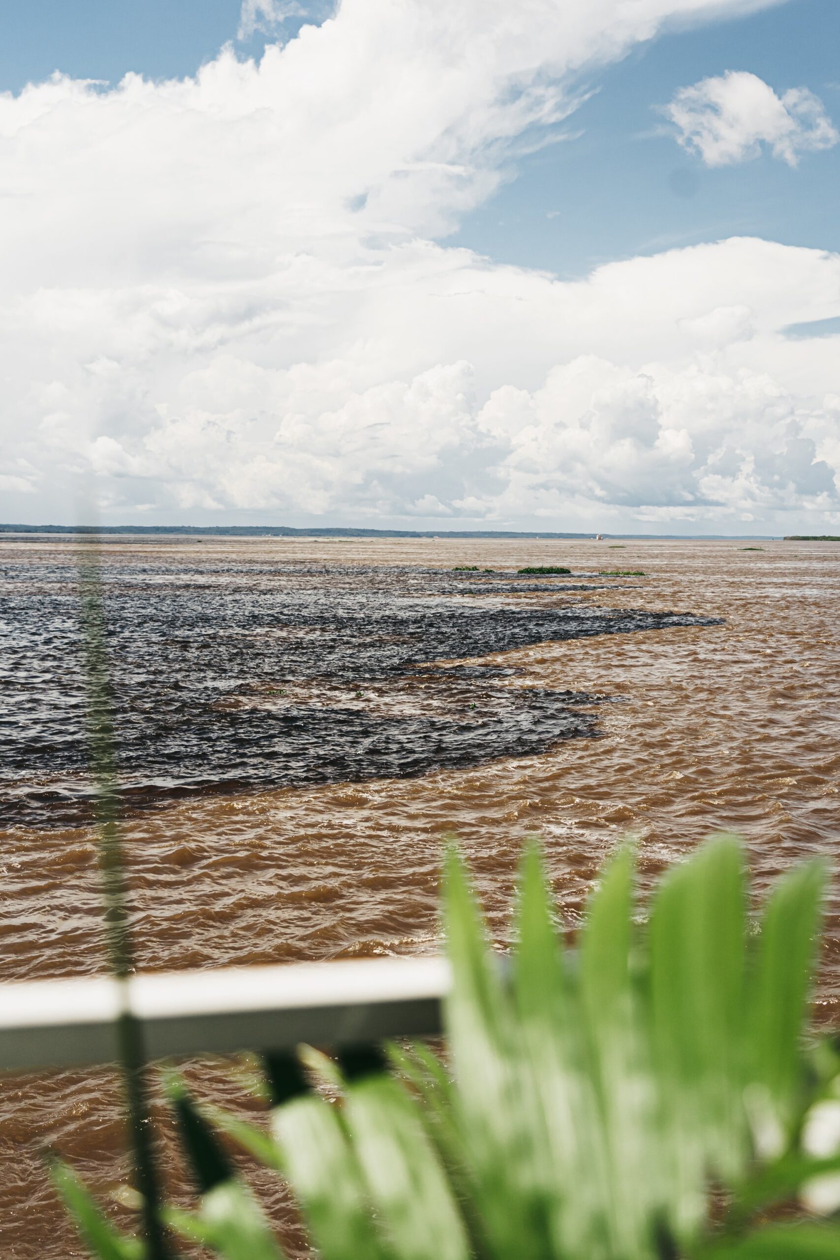 Dark blackwater and sandy-brown whitewater rivers merging side by side on the untamed Amazon cruise, viewed from the boat deck with green vegetation in the foreground and vast cumulus clouds overhead
