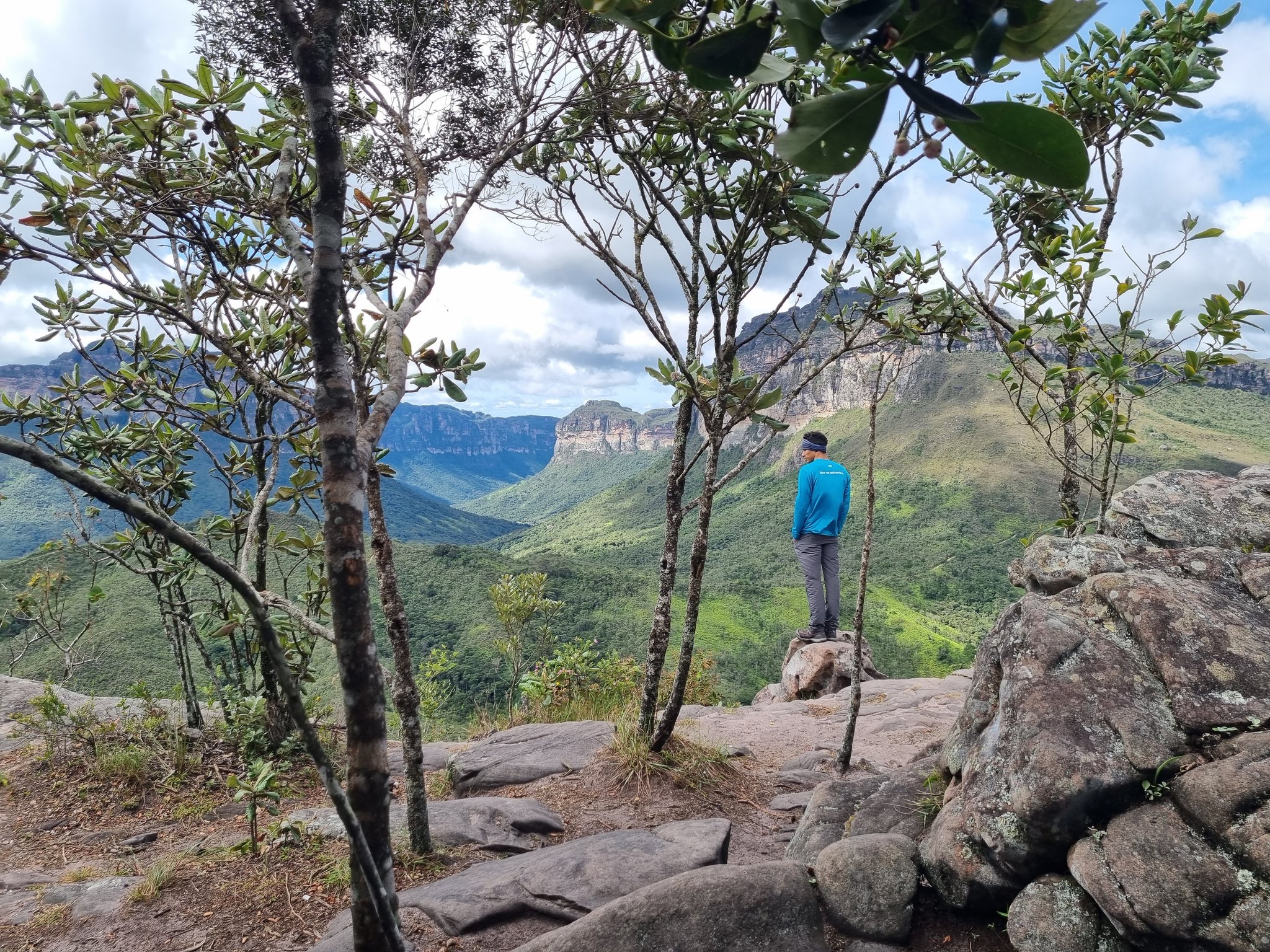 A hiker in a blue jacket stands on a rocky outcrop framed by cerrado trees, gazing across the sweeping green valley and sandstone cliffs of the vale do pati trek in Chapada Diamantina