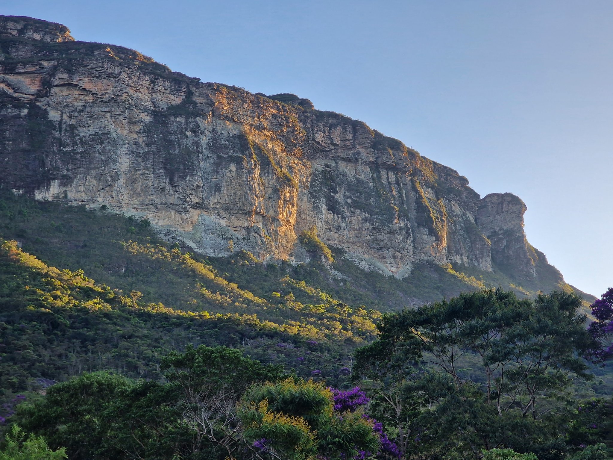 A towering sandstone escarpment catches golden late-afternoon light on the Vale do Pati Trek, with lush green slopes and purple-flowered trees in the foreground against a clear blue sky