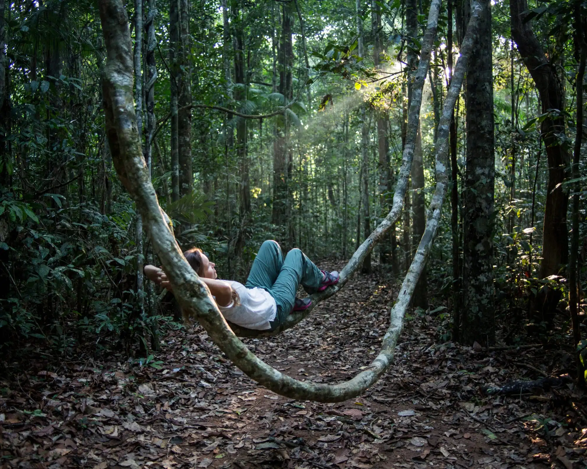 What to Do in the Amazon Rainforest: Top Outdoor Activities in Brazil