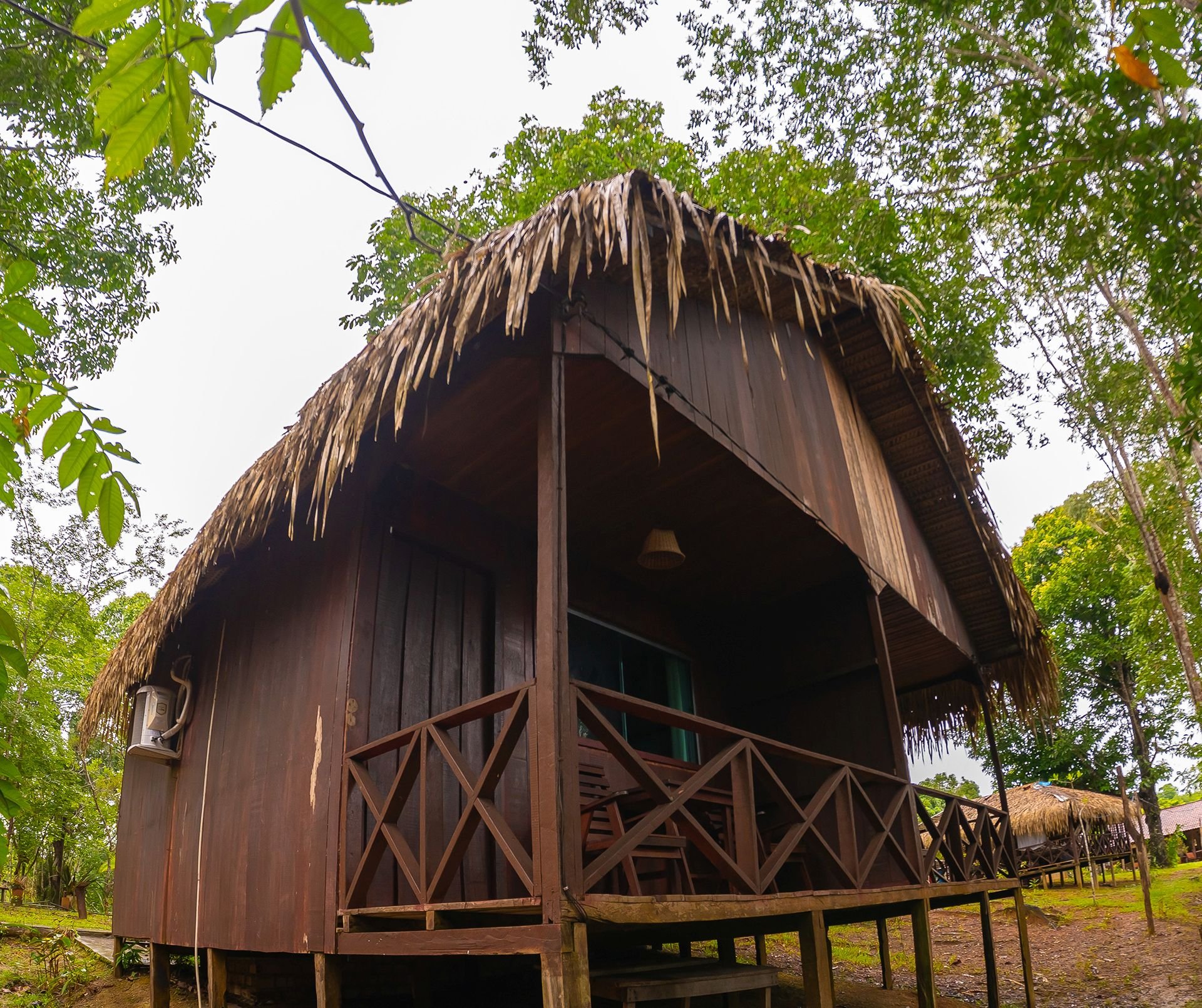 Raised on stilts under a thatched roof, the wooden bungalow blends into the forest. Exterior of a raised wooden bungalow with a thatched roof and porch in the jungle at the Amazon Turtle Lodge